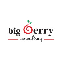 BIG BERRY CONSULTING SDN BHD logo - Similar company to Duckhub Ai