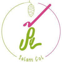 salamgol logo - Similar company to Mesvakmedia