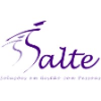 SALTE CONSULTORIA logo - Similar company to Salt Consulting - Business & Career Solutions