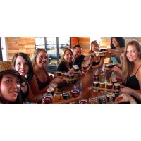 Party Bus Brewery Tours logo - Similar company to Party Bus Denver