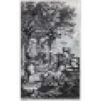 The Sustainable Design Group