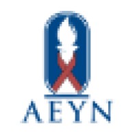 American Egyptian Youth Network