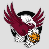 Manly Warringah Basketball Association 🦅 logo - Similar company to North Gold Coast Seahawks Basketball
