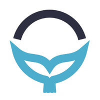 Blue Whale Lending logo - Similar company to Priority 1 Lending