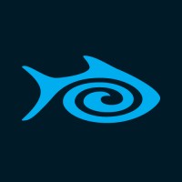 liquidfish logo - Similar company to Udtech Ltd