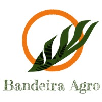 Bandeira Agro logo - Similar company to Ibape-Go