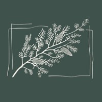 Green Cedar Consulting logo - Similar company to Green Cedar Consulting Ltd.