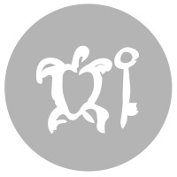 Turtle Key Arts logo - Similar company to Al Yusr