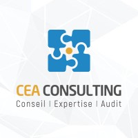 CEA Consulting logo - Similar company to Smart Topo