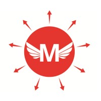 Mediascopy Digital Solutions logo - Similar company to Affiefly