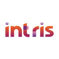 Intris logo - Similar company to Sankrish Consultancy