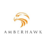 Amberhawk Training Limited logo - Similar company to 2040 Training