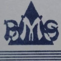 BMS Construction Co. logo - Similar company to Building Management Systems, Inc.