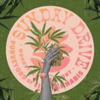 Sunday Drive logo - Similar company to Clover Consulting, Llc