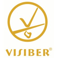 Visiber logo - Similar company to Ur Ventures