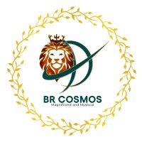 BR COSMOS logo - Similar company to Shree Padm Group