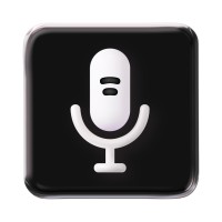 Voice AI logo - Similar company to Ai Agent Solution