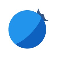 Blueberry Studios