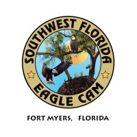 Southwest Florida Eagle Cam