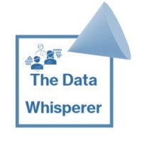 The Data Whisperer logo - Similar company to Data Whisperer