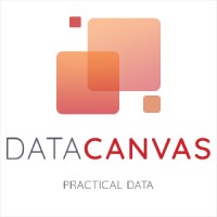 Data Canvas logo - Similar company to Blacklight Analytics