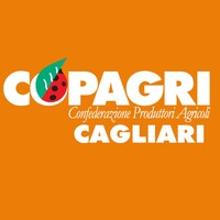 COPAGRI CAGLIARI logo - Similar company to Soning | Sonzogni Ingegneria