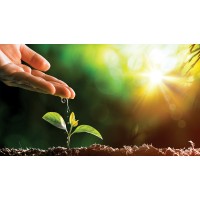 Agronegocio logo - Similar company to R2M Consultoria E Capacitação Agronegócio