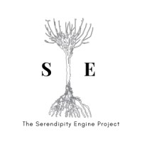 Serendipity Engine logo - Similar company to Chinalyse