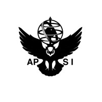 Academy APSI logo - Similar company to Inside It Recruitment School 🇺🇦