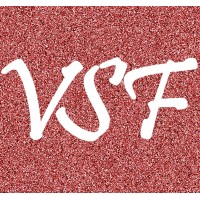 The Visual Snow Foundation logo - Similar company to Visual Snow Initiative