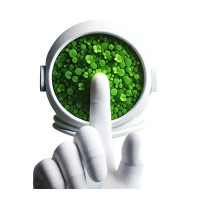 Duckweed Labs logo - Similar company to Q Interstellar | Quantum Interstellar Corporation