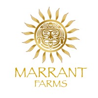 Marrant Farms Belize logo - Similar company to Finca Chocolat Belize