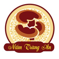Tràng An Trading Service,.JSC logo - Similar company to Viettrekking