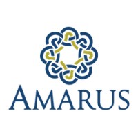 Amarus (Shanghai) Trading Ltd. logo - Similar company to Amarus Group