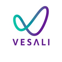 Vesali Educação logo - Similar company to Igepp Instituto De Gestão, Economia E Políticas Públicas