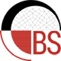 Biz Synergist logo - Similar company to Recon