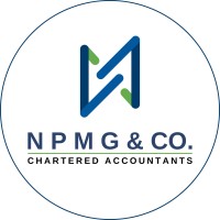 NPMG & CO. logo - Similar company to Vg Global Solutions Llc