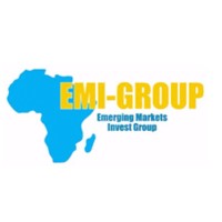 Emi Invest Group logo - Similar company to Emi Holdings