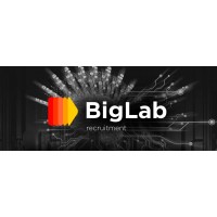 BigLab It integrator logo - Similar company to Makreal Integrator