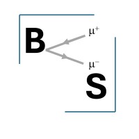 Boson Solutions logo - Similar company to Boson Solutions Ltd