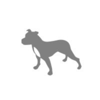 Grey Dog logo - Similar company to The View
