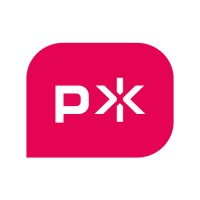 Primitive Spark logo - Similar company to Fun Enterprises Inc.