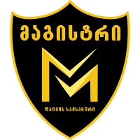 მაგისტრი სექურითი • Magistri Security logo - Similar company to Magisty