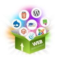 Website Design and Development at Affordable Price logo - Similar company to Website Designer & Website  Developer