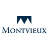 Montvieux logo - Similar company to Riskaware