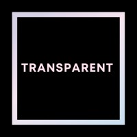 Transparent eCom logo - Similar company to Modern.Ai