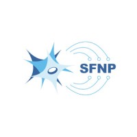 SFNP nerf logo - Similar company to Mdfsa Gauteng Branch