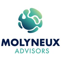 Molyneux Advisors logo - Similar company to New Perspective Geosolutions