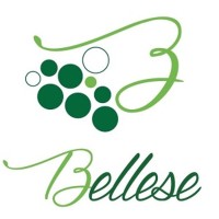 Bellese Vini - A winery in Piave's Land logo - Similar company to Automazione & Sicurezza Srl