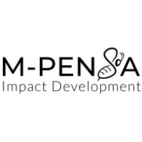 M-Pensa Impact & Development Services logo - Similar company to Impact Development Services Llc